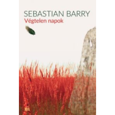 Sebastian Barry Végtelen napok irodalom