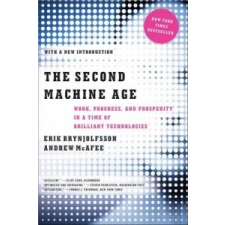  Second Machine Age – Erik Brynjolfsson,Andrew McAfee idegen nyelvű könyv