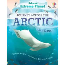  SEE INSIDE THE ARCTIC – JEROME MARTIN idegen nyelvű könyv