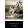  Selected Poems of Herman Melville – Herman Melville,Robert Faggen