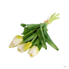  Selyemvirág tulipán csokor 5 szálas gumi 30cm fehér dekorációs kellék