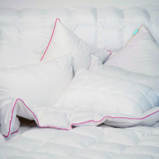  SET Bright Silver Perna 50x70 si Pilota 180x200 cu nanoszál lakástextília