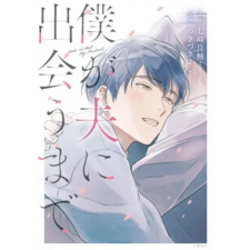 Seven Seas Until I Meet My Husband | Ryousuke Nanasaki,Yoshi Tsukizuki egyéb könyv