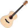 Shaman Wsf-10 Nt Folk Gitár