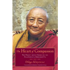 Shambhala Publications Inc. Heart of Compassion | Dilgo Khyentse egyéb könyv
