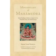 Shambhala Publications Inc. Moonbeams of Mahamudra | Dakpo Tashi Namgyal,Elizabeth Callahan egyéb könyv