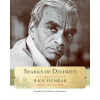 Shambhala Publications Inc. Sparks of Divinity | B K S Iyengar