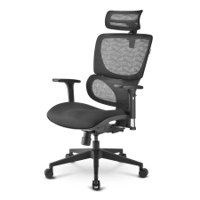 Sharkoon OfficePal C30 Gamer szék fekete forgószék