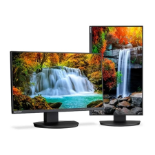 Sharp DD-EA242F (60006215) monitor
