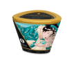 Shunga Massage Candle Island Blossoms - masszázsgyertya - virágos (170 ml)