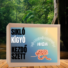  Sikló HIGH kezdőcsomag - bébi siklóknak hüllőfelszerelés