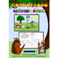 Simon József - Gondolkodó - Színezd újra! egyéb könyv