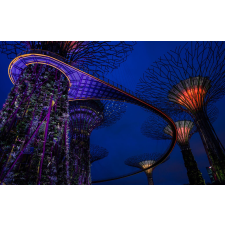  Singapore Park 1 matrica tapéta, 250 x 200 cm tapéta, díszléc és más dekoráció