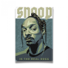 Snoop - Vászonképek