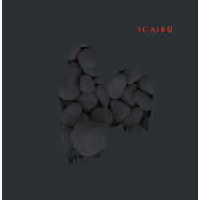  SOA 80 regény
