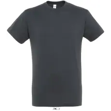 SOL'S Regent - unisex környakú póló (zinc, S)