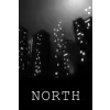Sometimes You NORTH (digitális licenc)
