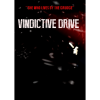 Sometimes You Vindictive Drive (PC - Steam elektronikus játék licensz)