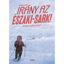 Sophie Blitman - Irány az Északi-sark! Hogy döntesz? gyermek- és ifjúsági könyv