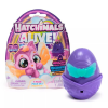 Spin Master Hatchimals: Alive! Neon szivárvány gyűjthető játékfigura