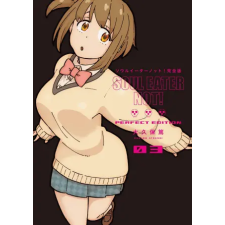 Square Enix Soul Eater Not!: The Perfect Edition 03 | V03 egyéb könyv