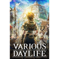 Square Enix VARIOUS DAYLIFE (PC - Steam elektronikus játék licensz) videójáték