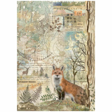 Stamperia Forest Rízspapír A4 Fox Rice Paper (1 ív) decoupage papír