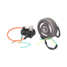 Standard Parts Gyújtás elektronikus OEM minőség Puch Maxi (12 V) egyéb motorkerékpár alkatrész