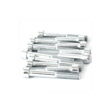 Standard Parts Horganyzott hatlapfejű csavar M8x60 (x12) egyéb motorkerékpár alkatrész