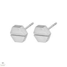 Steelwear Honolulu férfi fülbevaló 8 mm - SW-922 fülbevaló