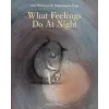 Steerforth Press What Feelings Do at Night – Aleksandra Zajac,Antonia Lloyd-Jones