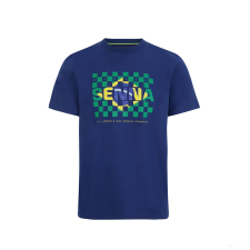 Stichd Ayrton Senna Flag Környakú Póló férfi póló