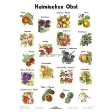 Stiefel Heimisches Obst térkép