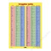 Stiefel Tanulói munkalap, A4,Irregular Verbs (VTM09)