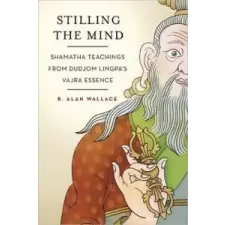  Stilling the Mind – B. Alan Wallace idegen nyelvű könyv