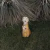 STR Napelemes szurikáta mama, gyerek kerti figura 27,5 cm LED
