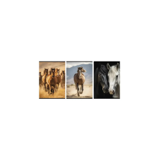 Street Füzet kockás STREET A/4 54 lapos Horses füzet