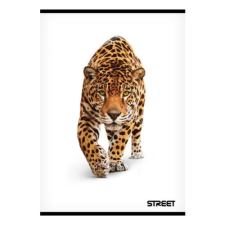 Street Füzet STREET Safari A/4 54 lapos sima füzet