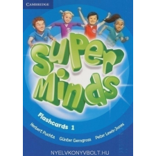  SUPER MINDS 1 FLASHCARDS nyelvkönyv, szótár
