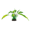SuperFish | ART PLANT, CRYPTOCORYNE | Műnövény dekoráció - 25 cm