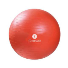  Sveltus gimnasztikai labda 55 cm gyógyászati segédeszköz
