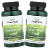 Swanson Spearmint Leaf DUO 400mg 2X60 kapszula