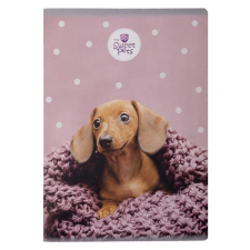  Sweet Pets kutyás kockás füzet - A5 60 lapos - Tacskó füzet