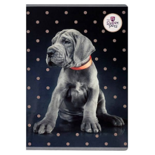 Sweet Pets kutyás vonalas füzet - A5 60 lapos - Német dog füzet