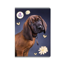 Sweet Pets kutyás vonalas füzet - A5 80 lapos - Bajor hegyi véreb füzet