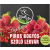 SZAFI Free Piros bogyós-szőlő lekvár 350 g