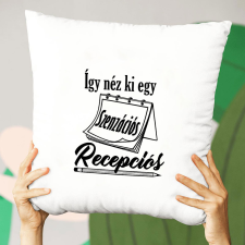 Szakmás ajándék - Szenzációs recepciós párna lakástextília