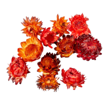  Szalmarózsa fej vegyes festett 10dkg/csom dekorációs kellék