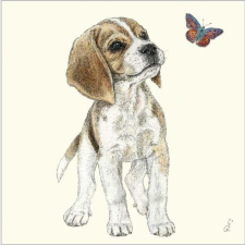  Szalvéta - kiskutya papírárú, csomagoló és tárolóeszköz