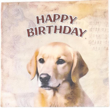 Szalvéta - Kutyusos, 'Happy Birthday' felirattal papírárú, csomagoló és tárolóeszköz